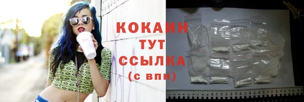 МДПВ Новозыбков