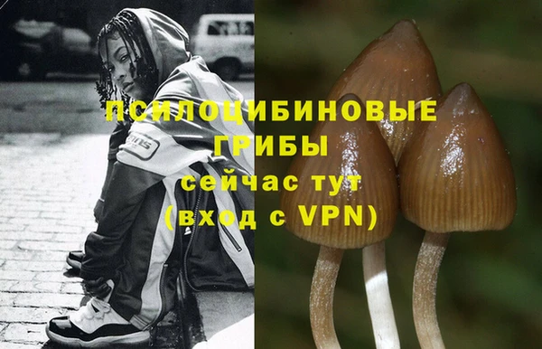 экстази Новодвинск