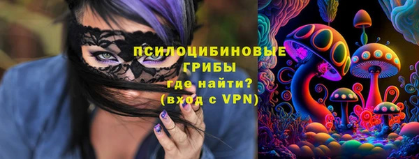 экстази Новодвинск