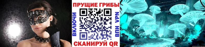 Псилоцибиновые грибы ЛСД  Кунгур 
