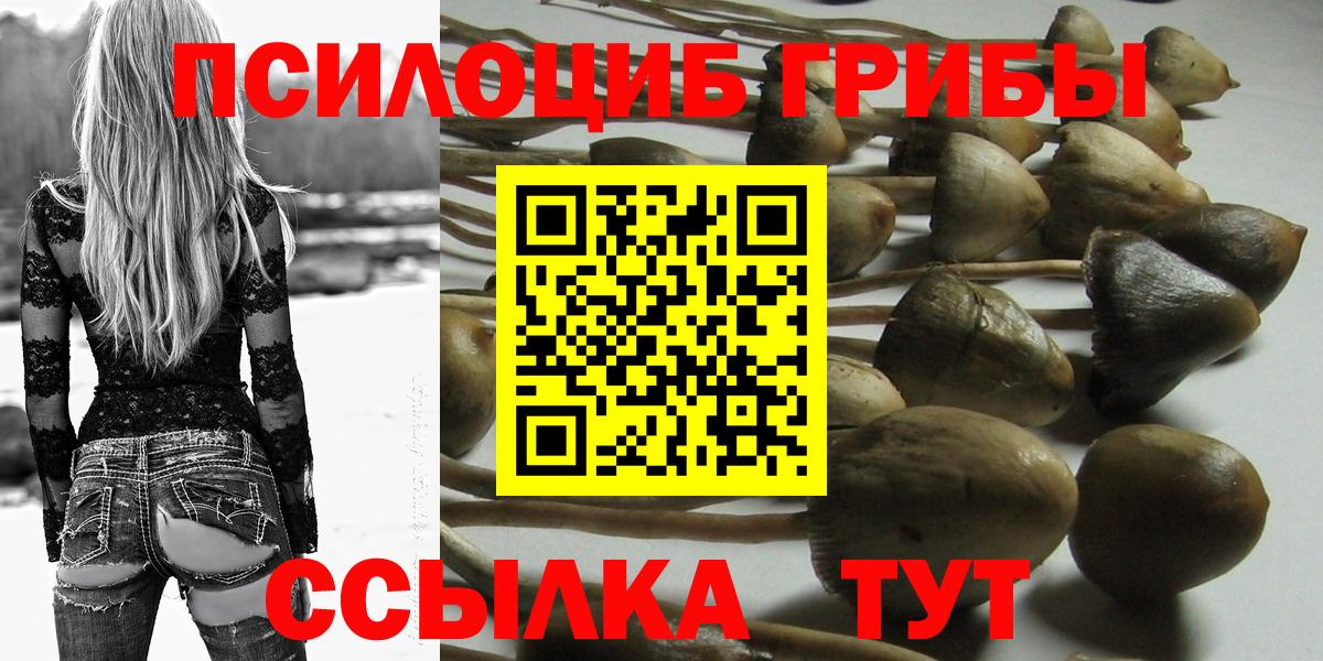 Галлюциногенные грибы Psilocybine cubensis  Галлюциногенные грибы мицелий  Кунгур 
