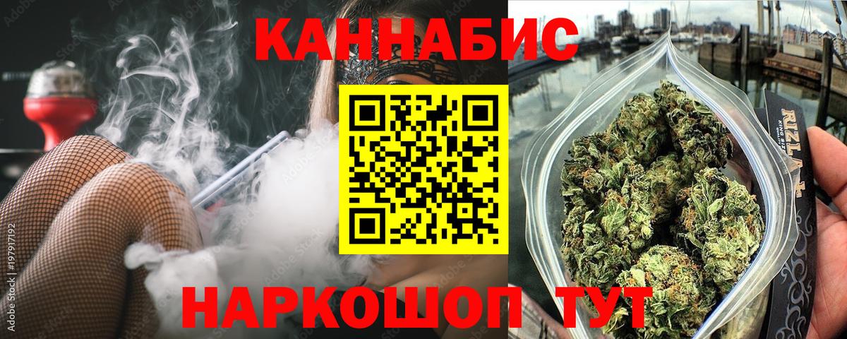 Конопля AK-47  Канабис семена  Кунгур  Конопля OG Kush 